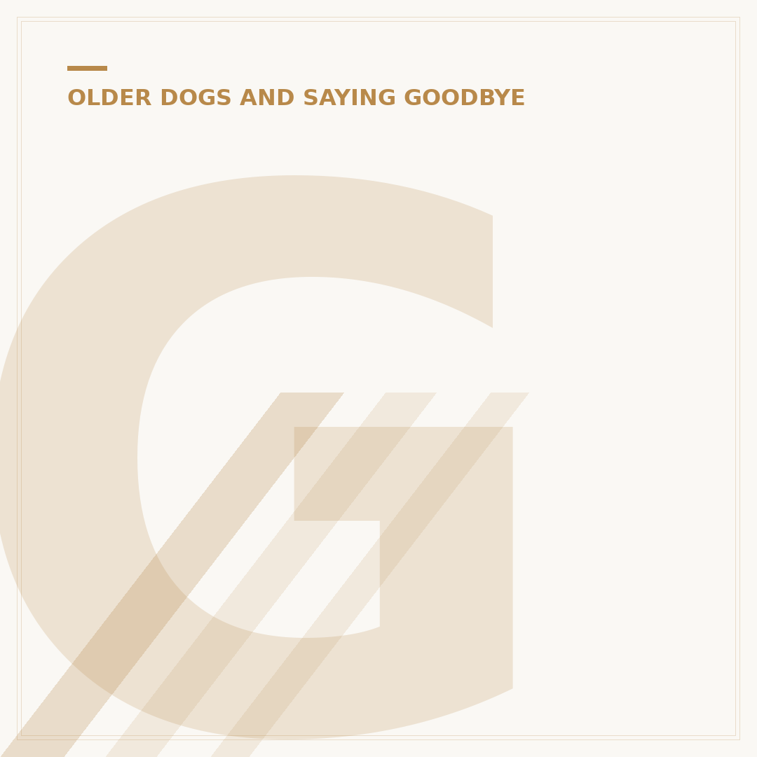 Grief in Dogs Symptoms: Recognising Sadness in Your Pet