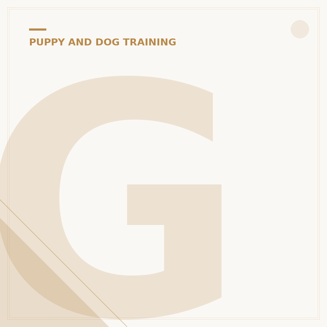 Gun Dog Training Equipment: What You Actually Need