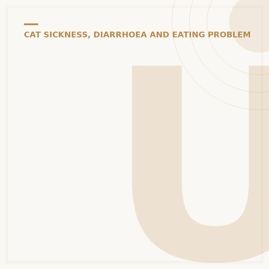 Understanding Hairball Cat Food