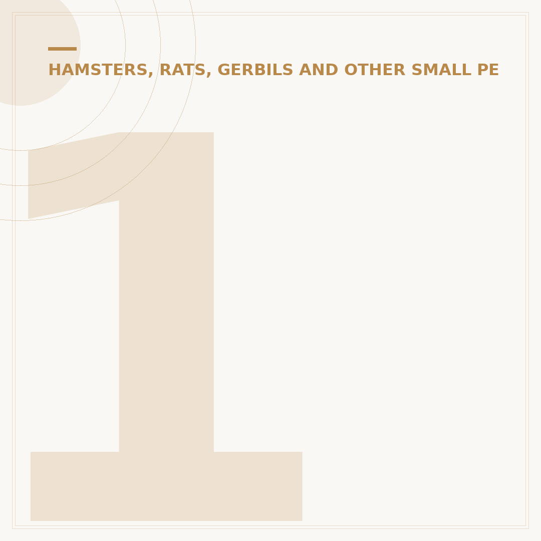 100x50x50 Hamster Cage: Size Matters for Happy Pets