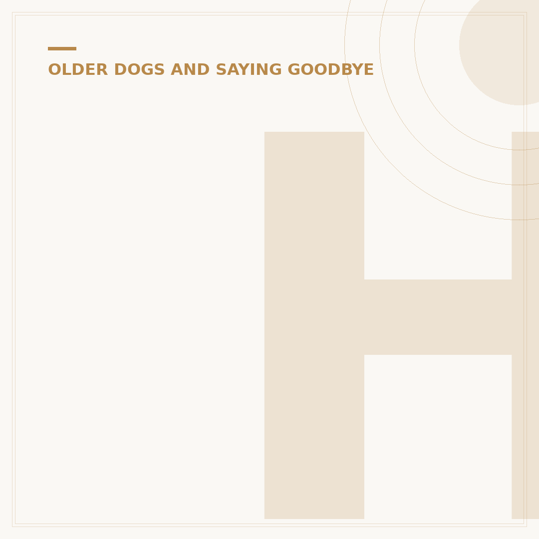 Healthiest Dog Food for Senior Dogs in the UK