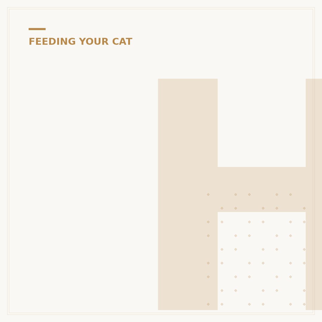 Healthy Cat Treats: What to Look For