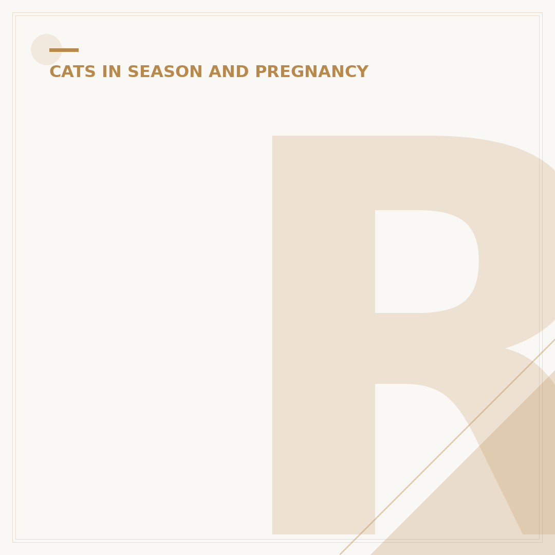 Recognising Heat Exhaustion in Cats: Signs & Care