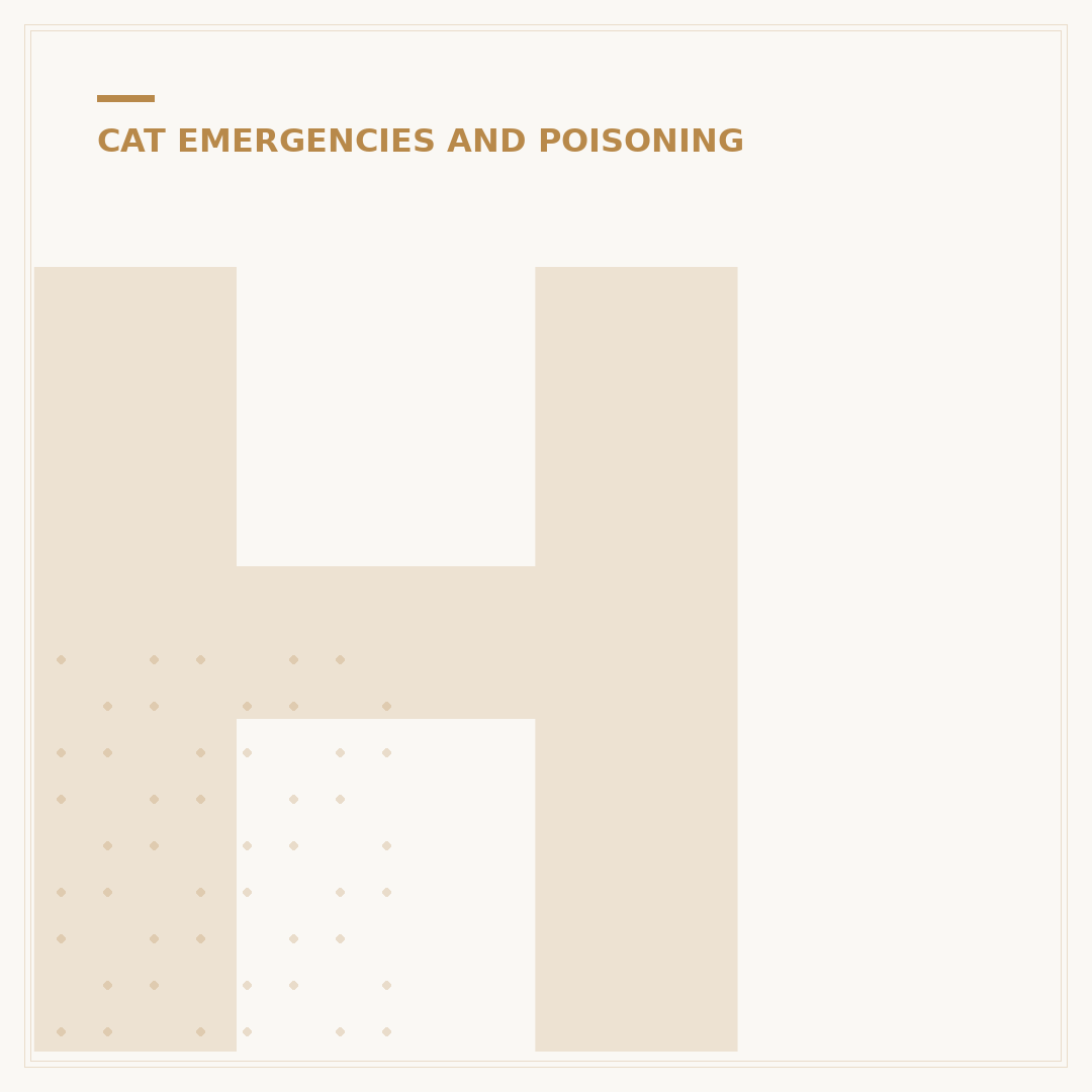 Heat Stroke in Cats: Causes, Symptoms & Urgent Care