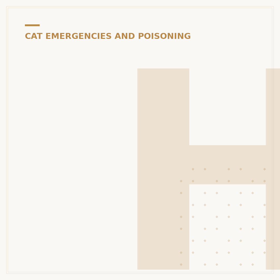 Heatstroke in Cats: Signs, Causes, and What to Do