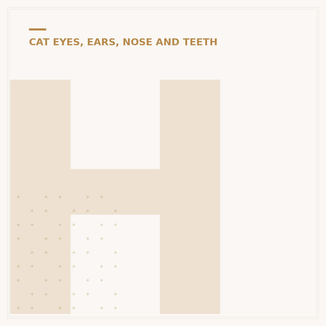 Herpes Infection in Cats Eyes: Causes & Treatment