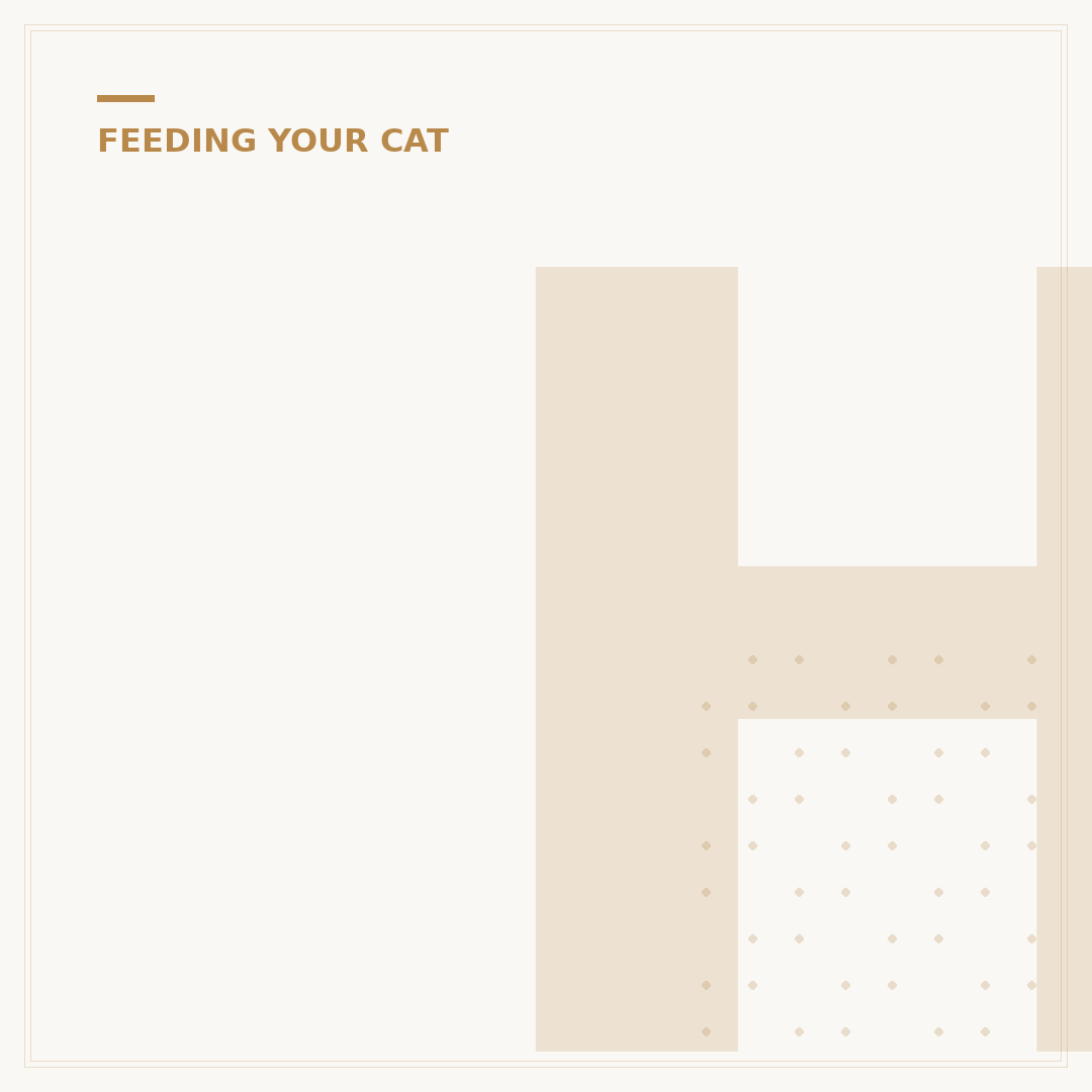 Hill's Pet Food for Cats: Nutrition & Choices