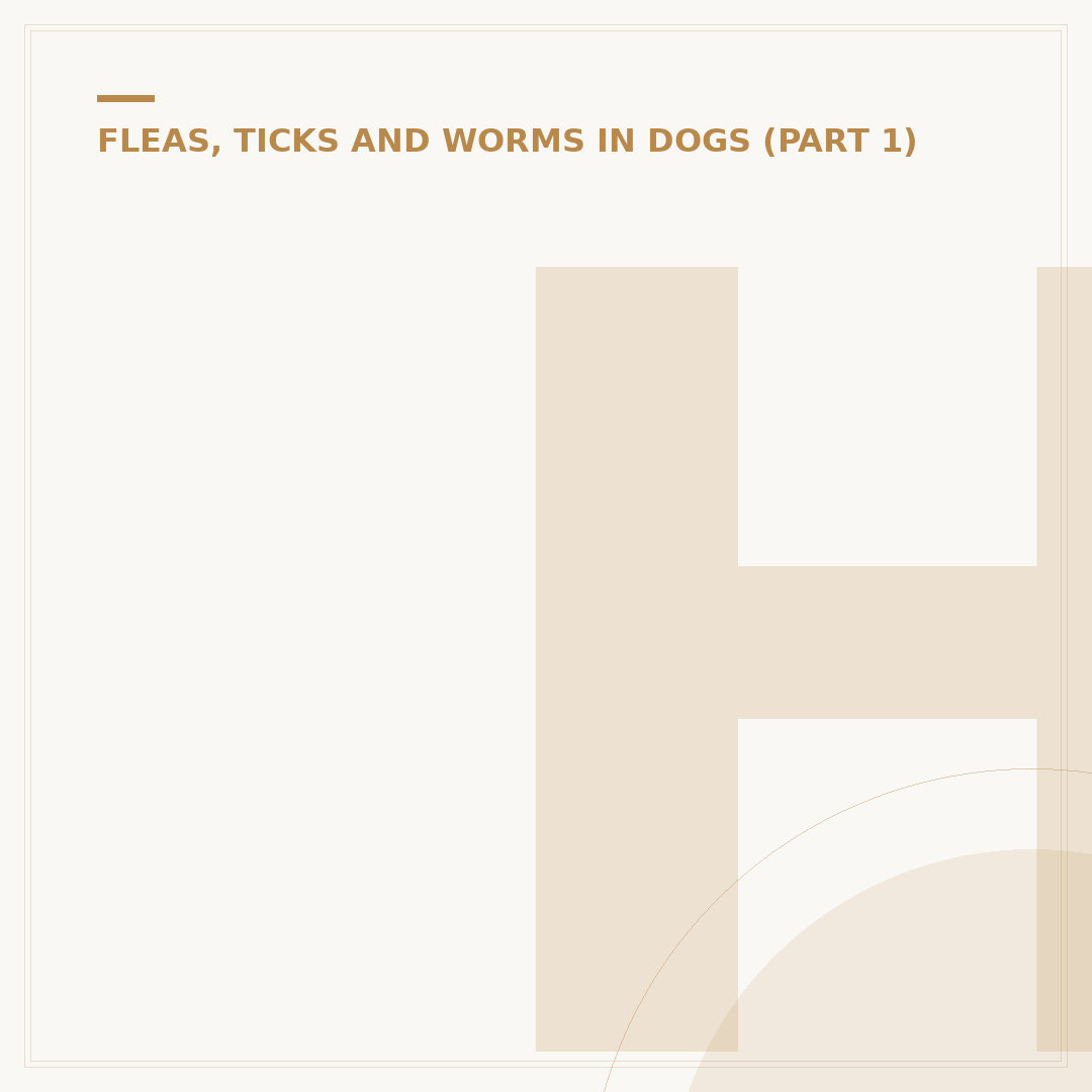 Hookworms in Dogs: Symptoms, Causes & Treatment