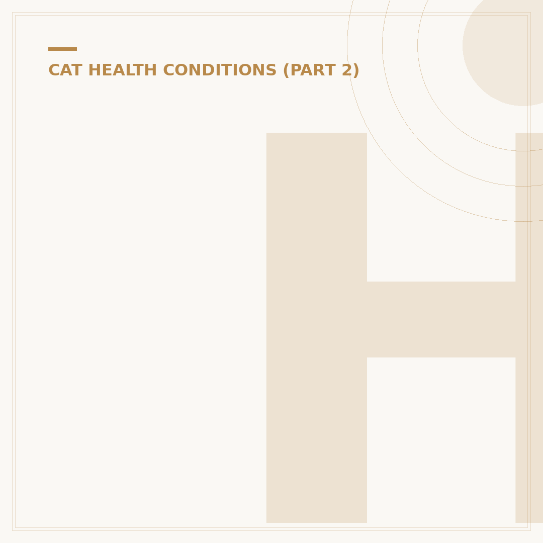 Horner's Syndrome in Cats: Causes, Signs and What To Do