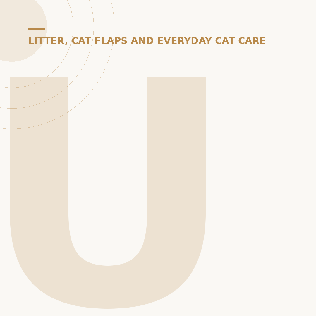 Understanding the House Cat Tabby Pattern