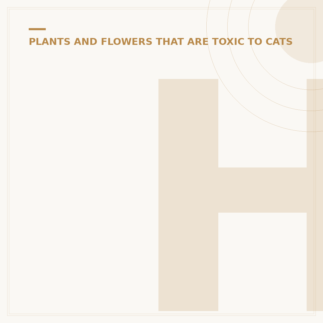 House Plants Non Toxic to Cats: Safe Choices