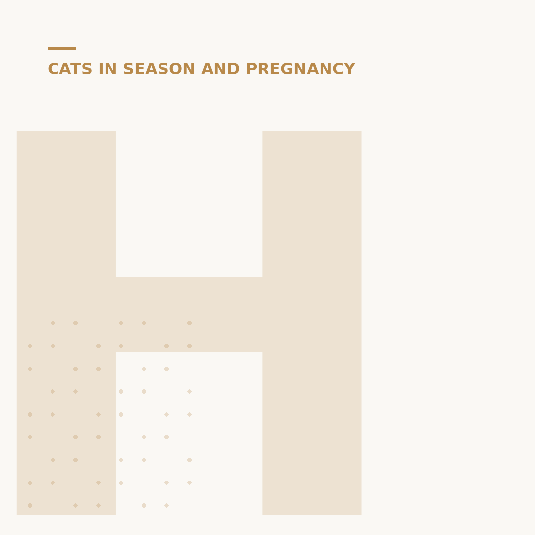 How Domestic Cats Mate: A Behavioural Overview