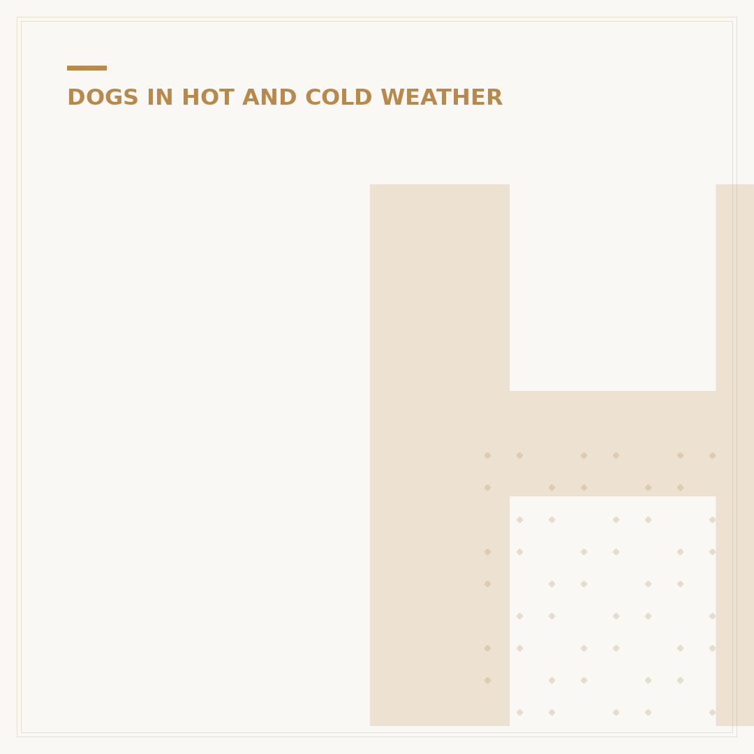 How Hot Is Too Hot For Dogs: Keeping Your Pet Safe
