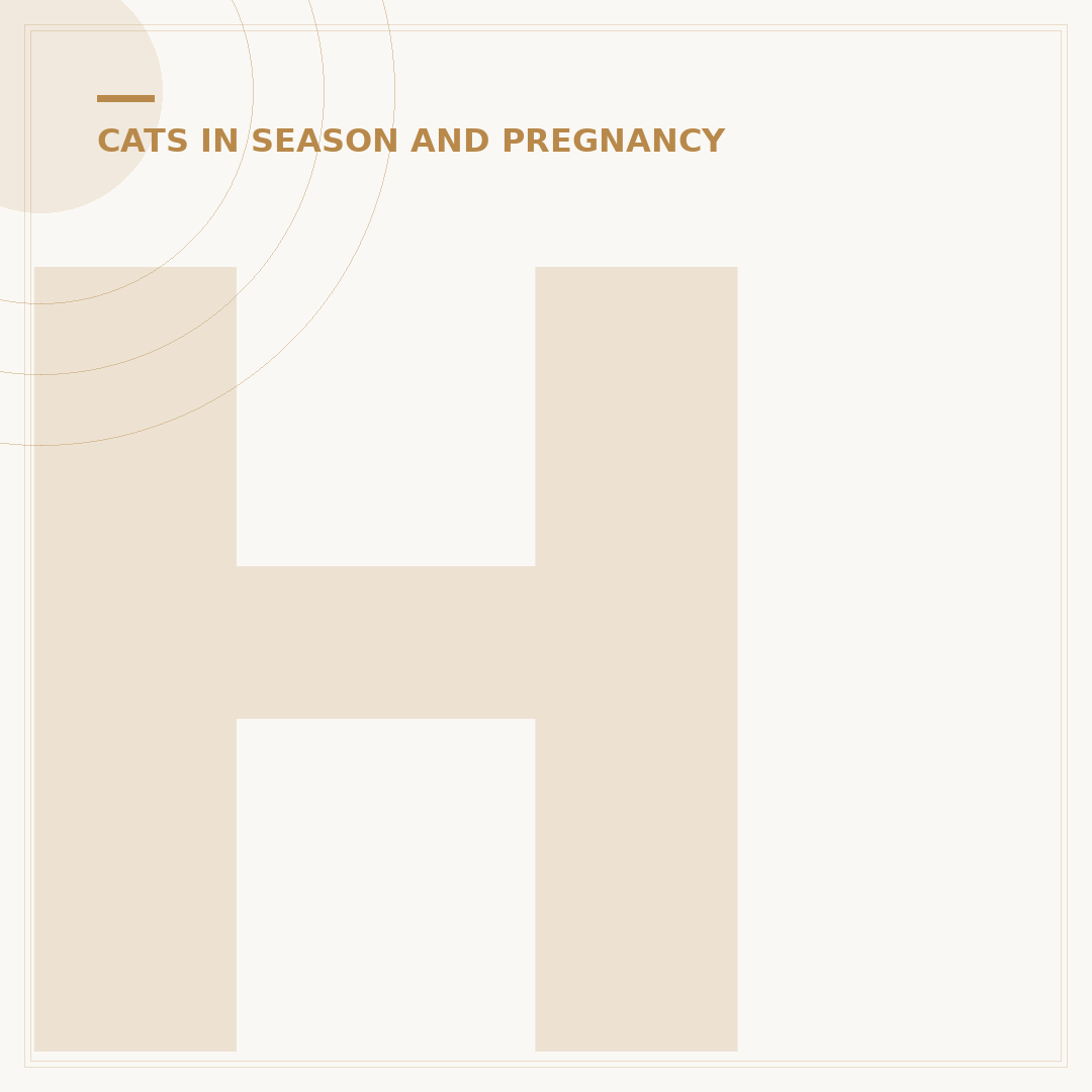 How Long Are Cats Pregnant In Weeks?
