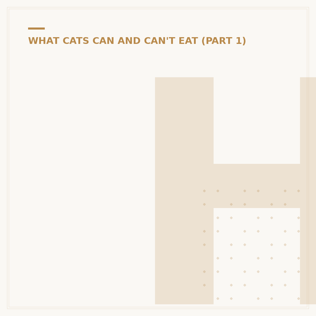 How Many Kittens Can Cats Have?