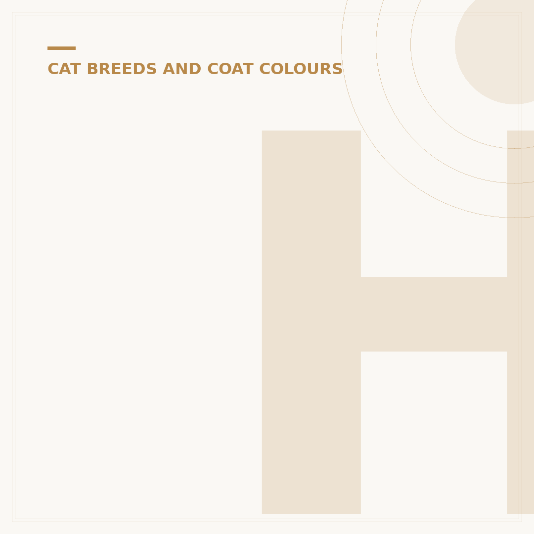 How Much Do Maine Coon Cats Cost?