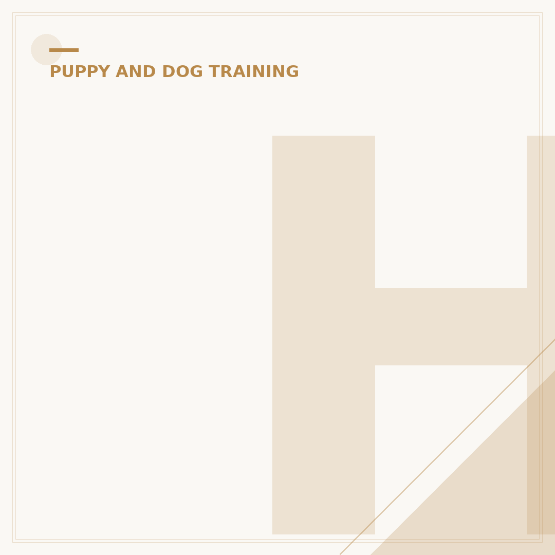 How Much is Puppy Training in the UK?