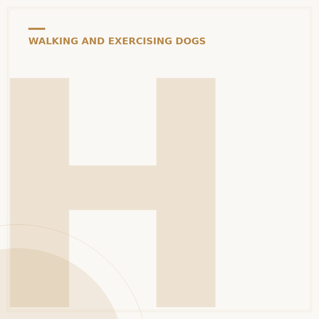 How Often Should You Walk Your Dog?
