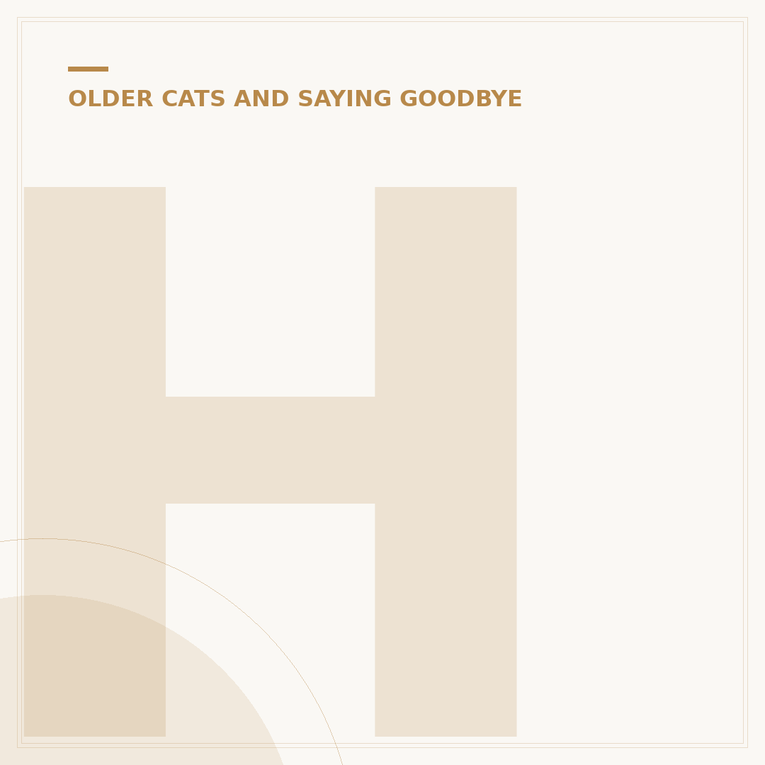 How Old is Five in Cat Years? Understanding Your Cat's Age