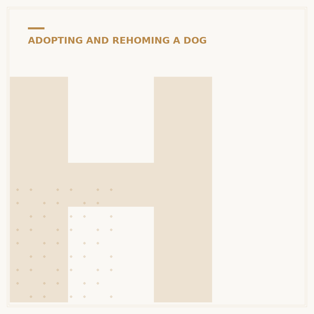 How to Adopt a Dog: Avoid Common Mistakes