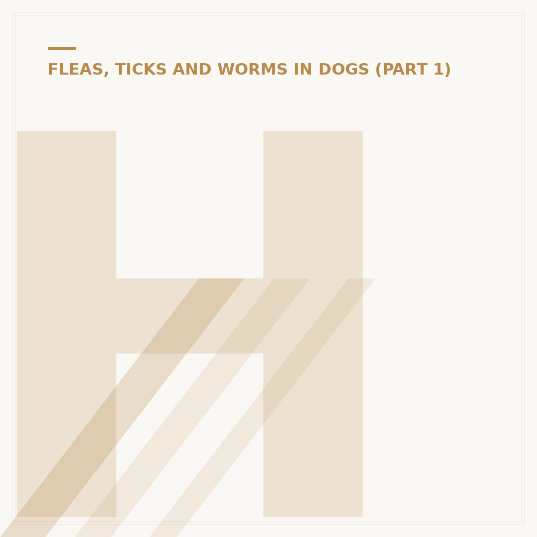 How to Get a Tick Off a Dog Safely