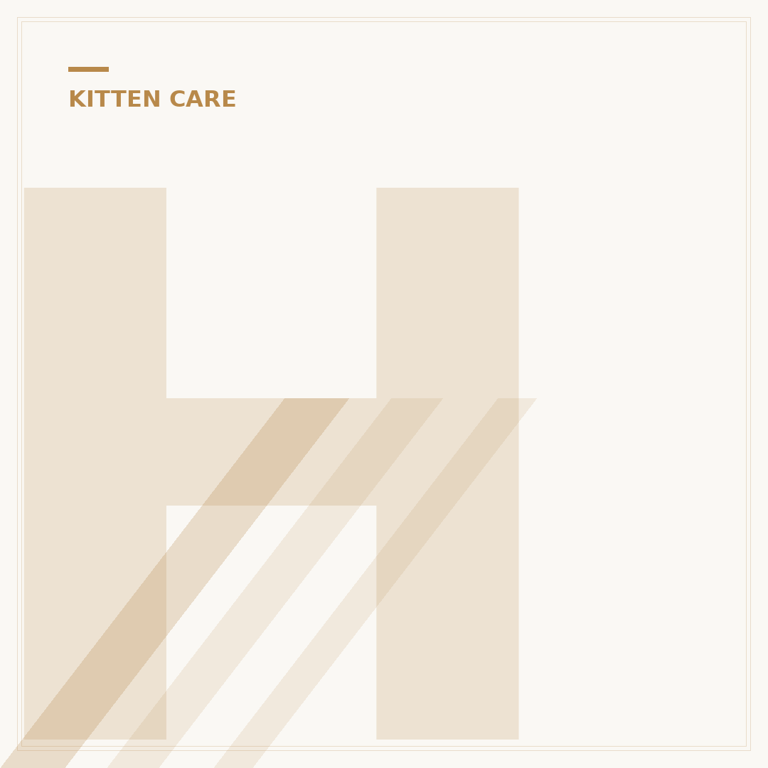 How to Train Kittens for Litter Box Use