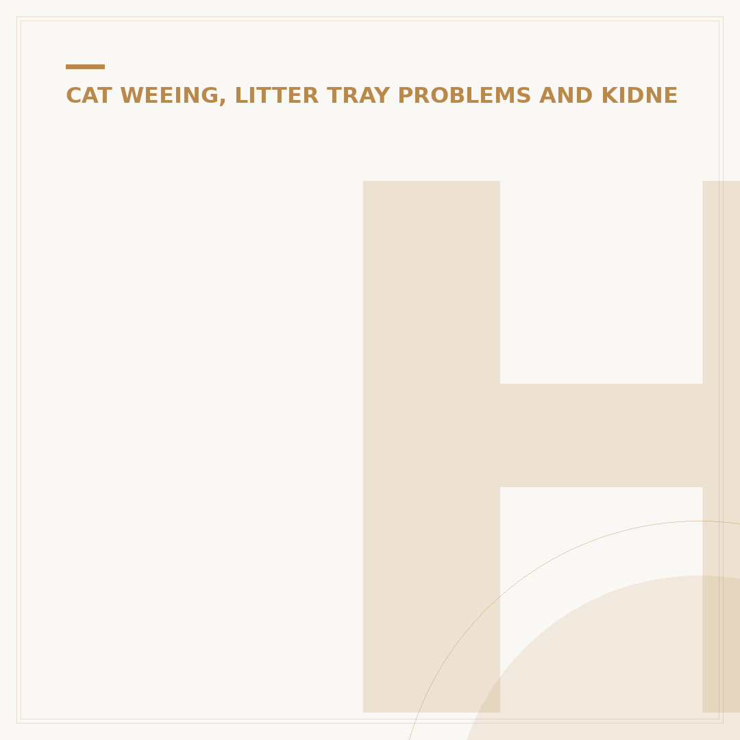 How to Cure UTIs in Cats