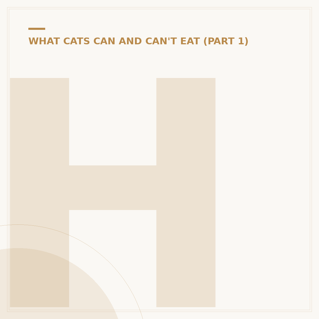 Human Foods Cats Can Eat Everyday Safely