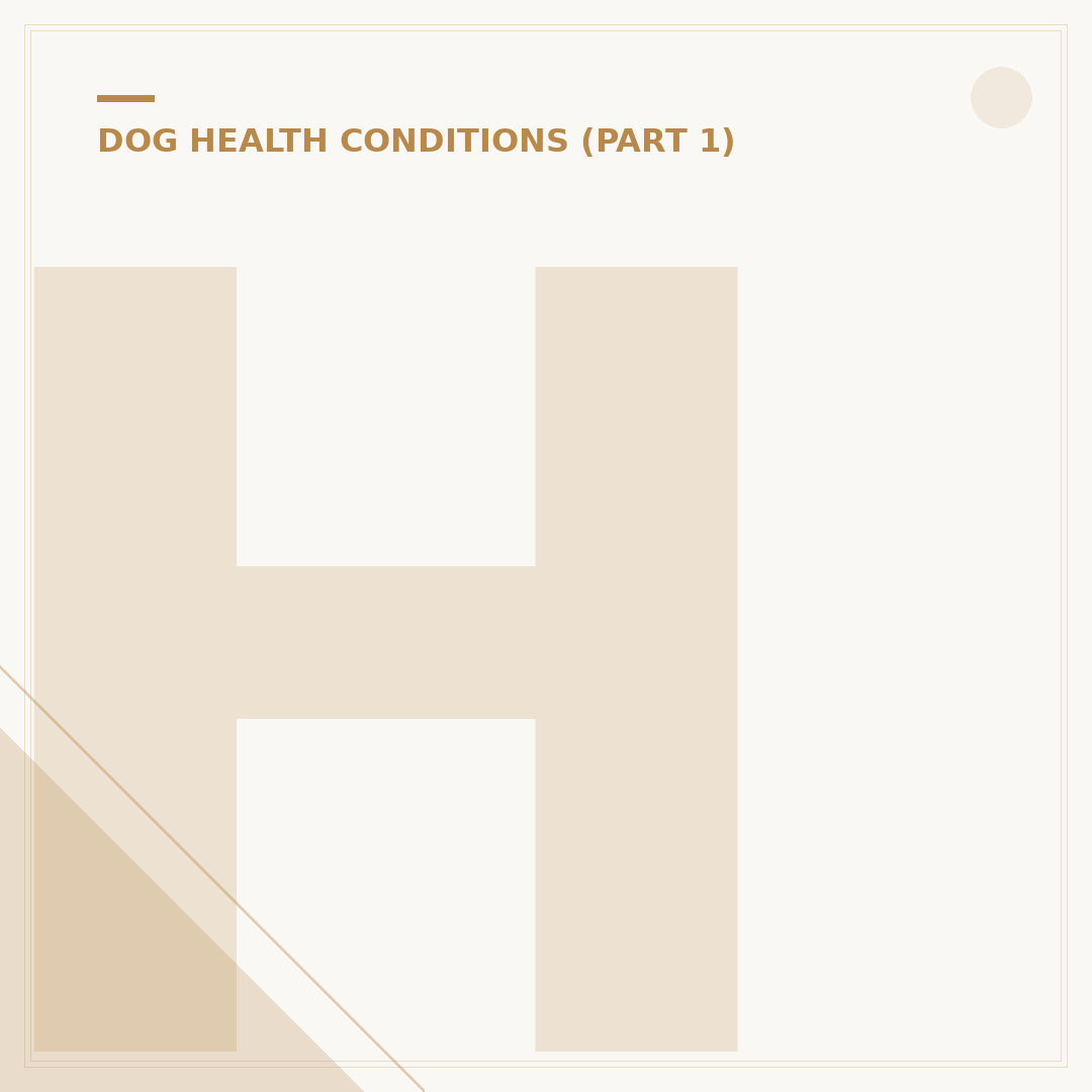 Hyperadrenocorticism: Cushing's Disease in Dogs Explained