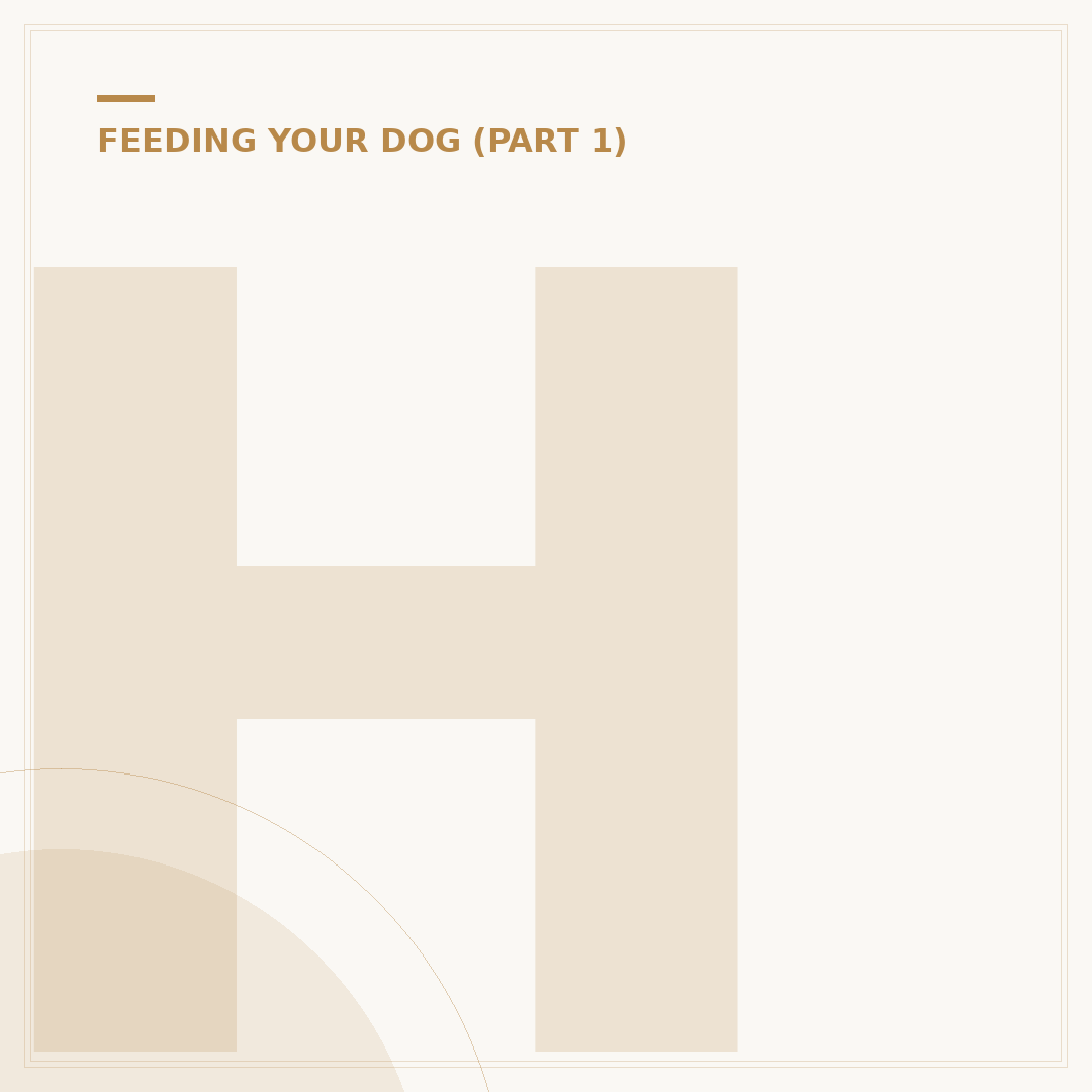 Hypoallergenic Diet for Dogs: Key Considerations
