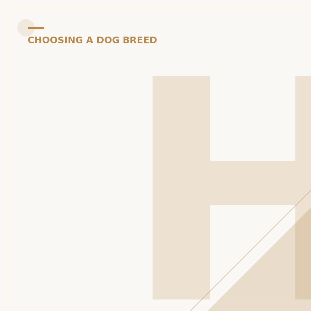 Hypoallergenic Dog Breeds: What Type of Dogs Are They?