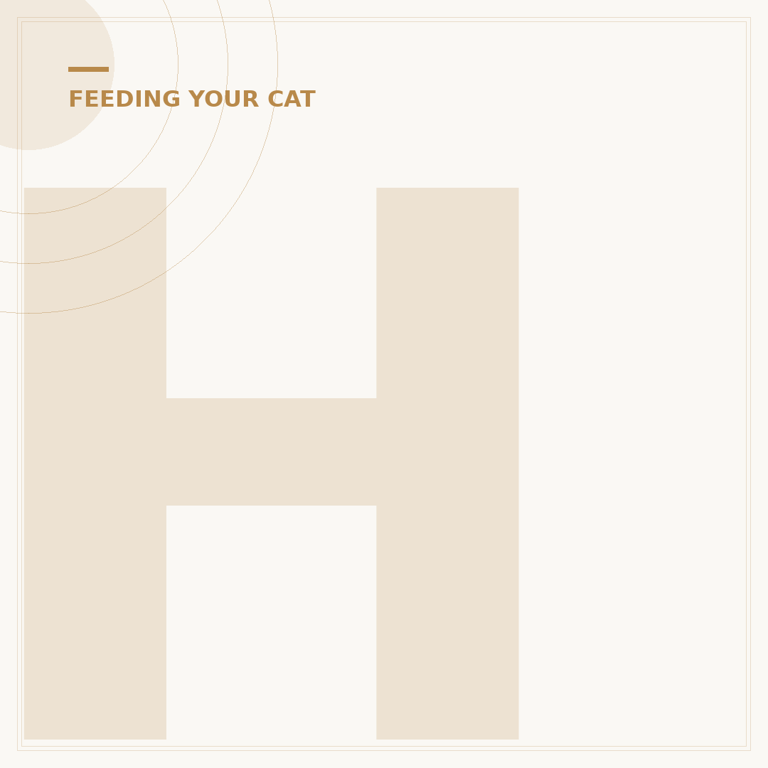 Hypoallergenic Dry Cat Food