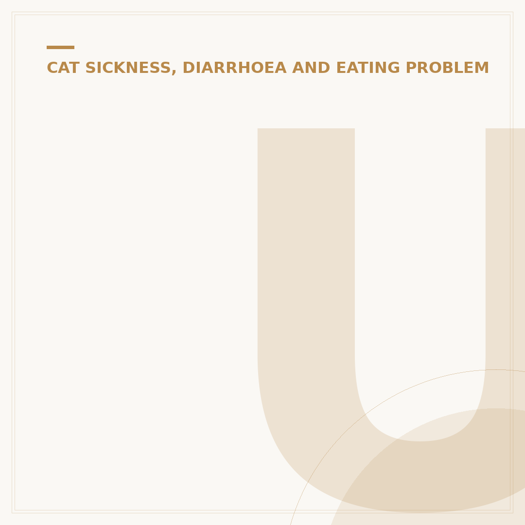 Understanding IBD in Cats: Signs and Care