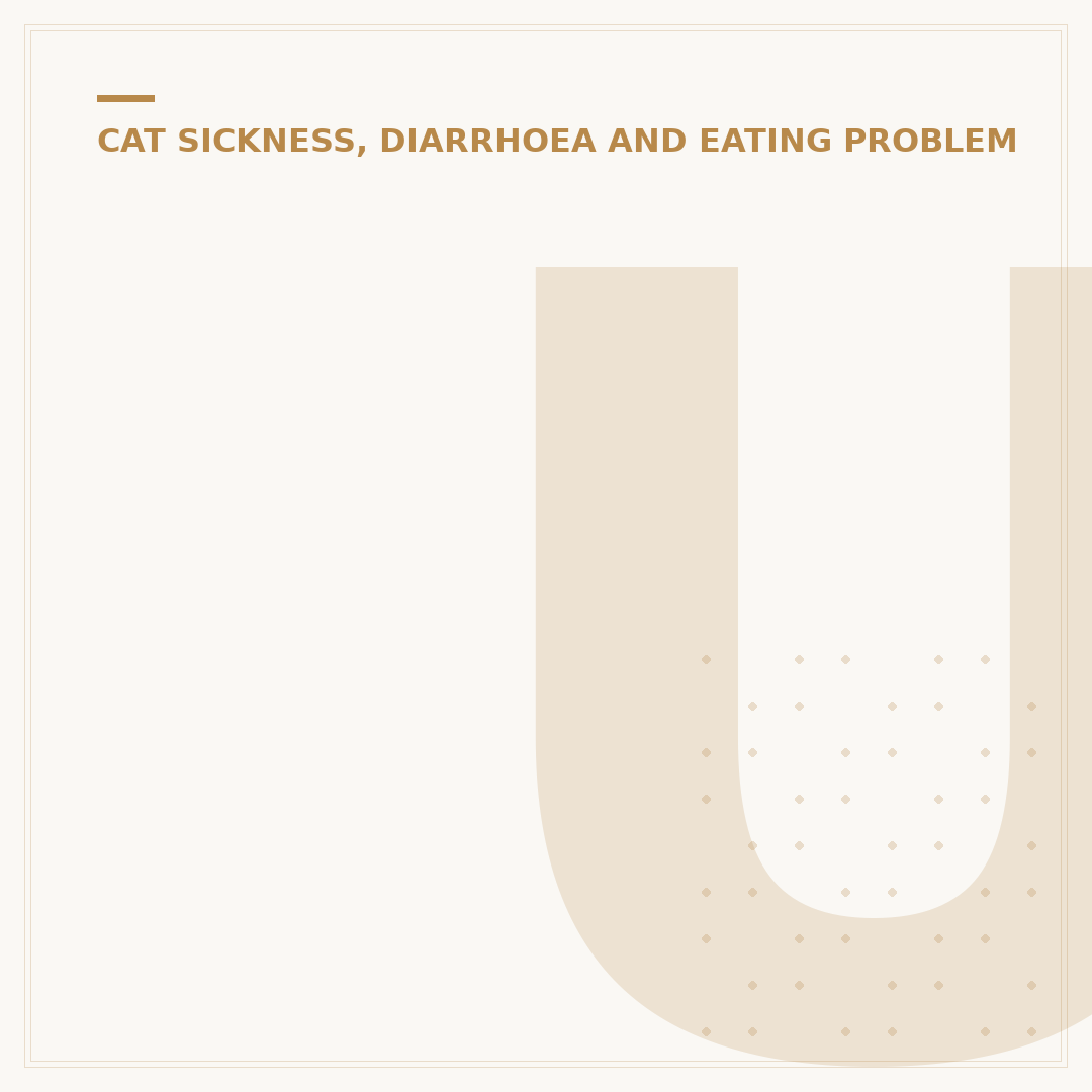 Understanding IBS in Cats: Symptoms and Management
