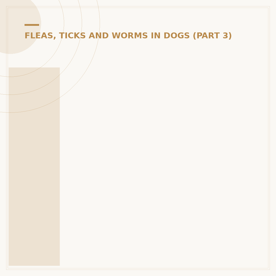 Identifying Dog Worms: Signs and Prevention