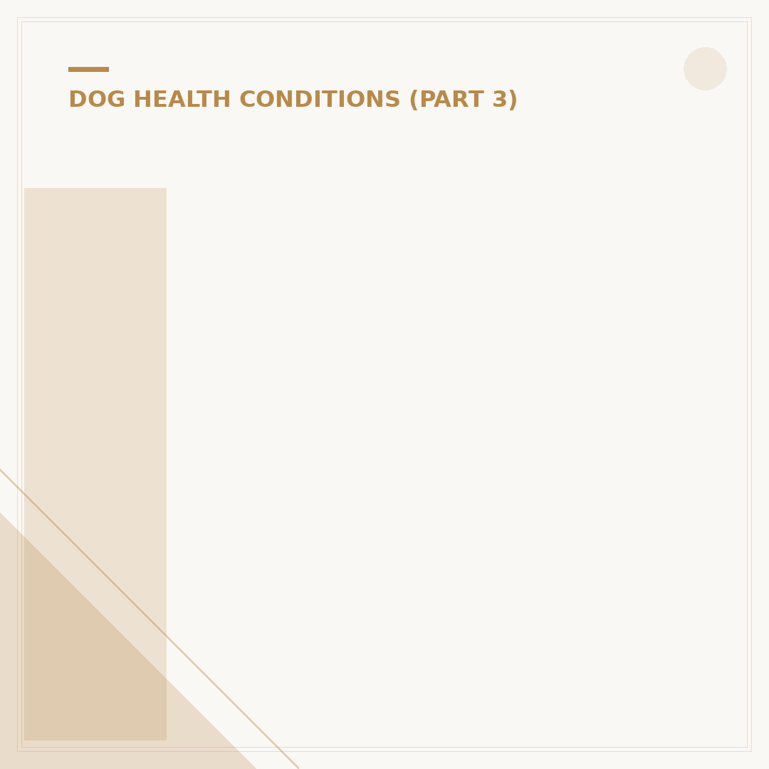 Idiopathic Head Tremors in Dogs: Causes and Care