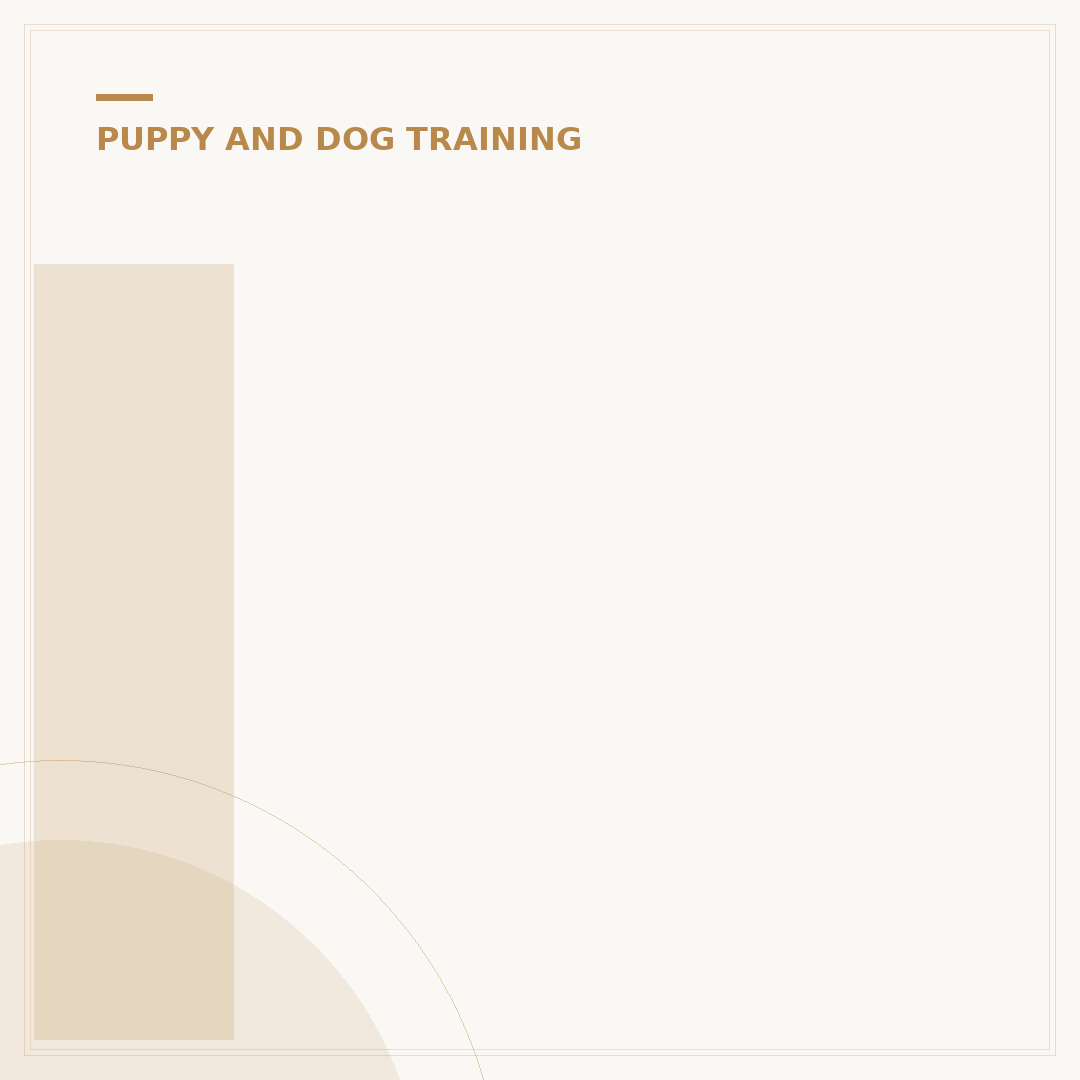 IMDT Dog Training: What It Is & How to Find Trainers