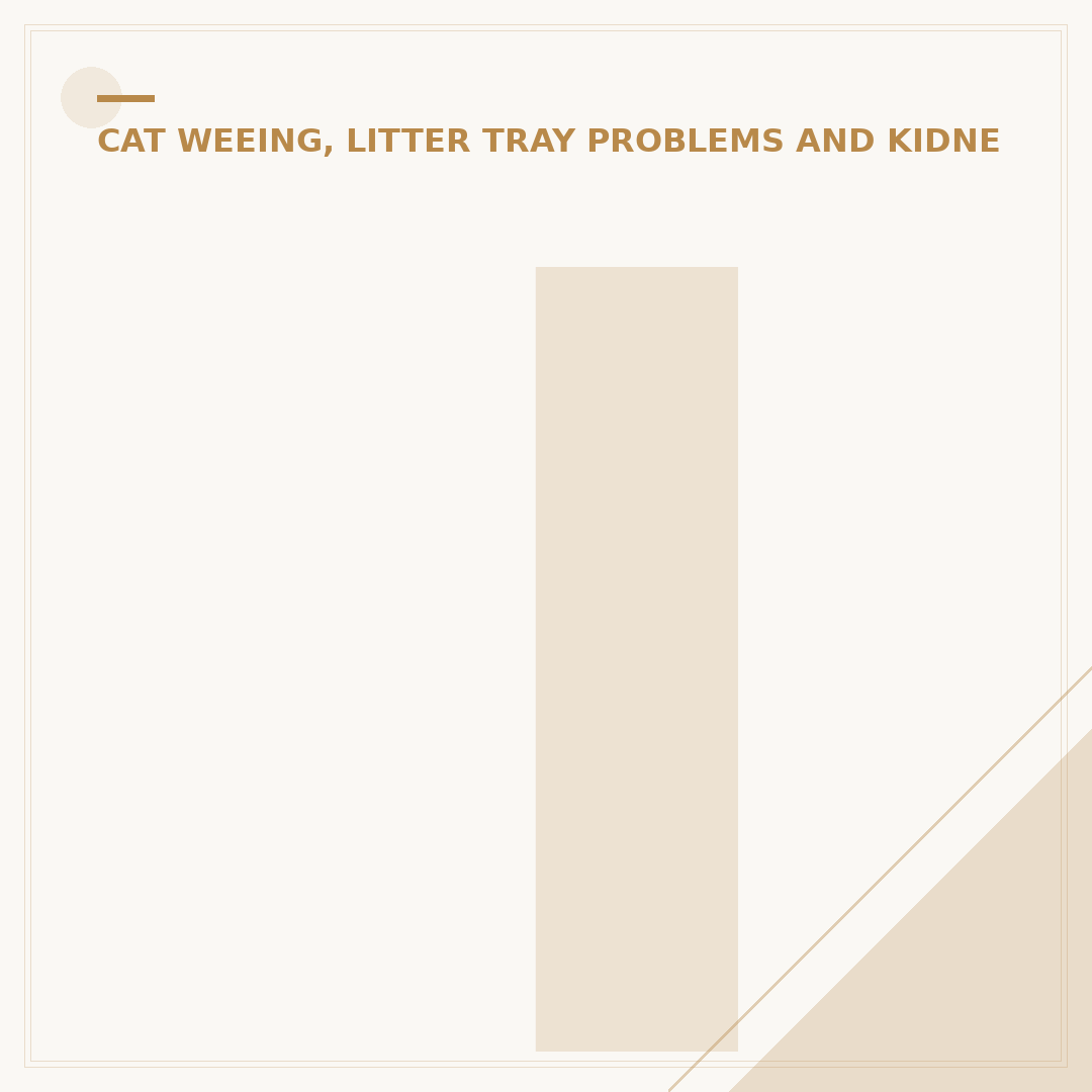 Incontinence in Cats: Causes, Signs & Management