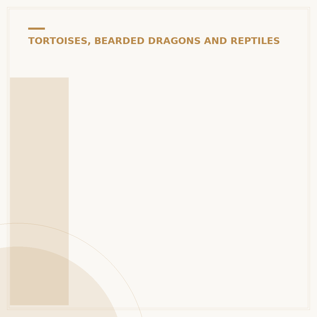 India Tortoise: Species, Care, and Conservation