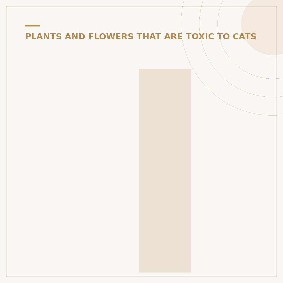 Indoor Plants Okay for Cats: A Safe Selection