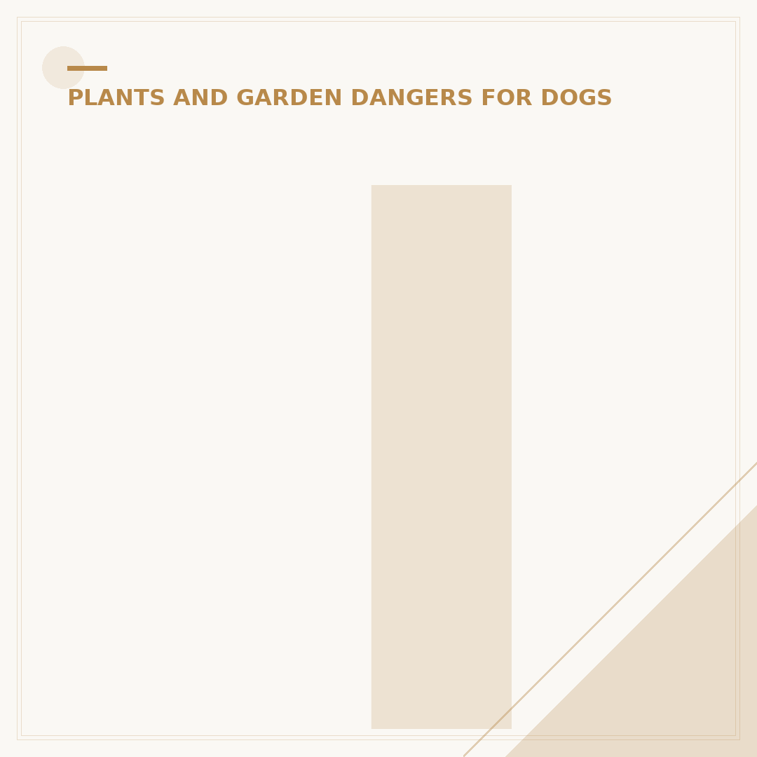 Indoor Plants Not Toxic to Dogs: Pet-Safe Options
