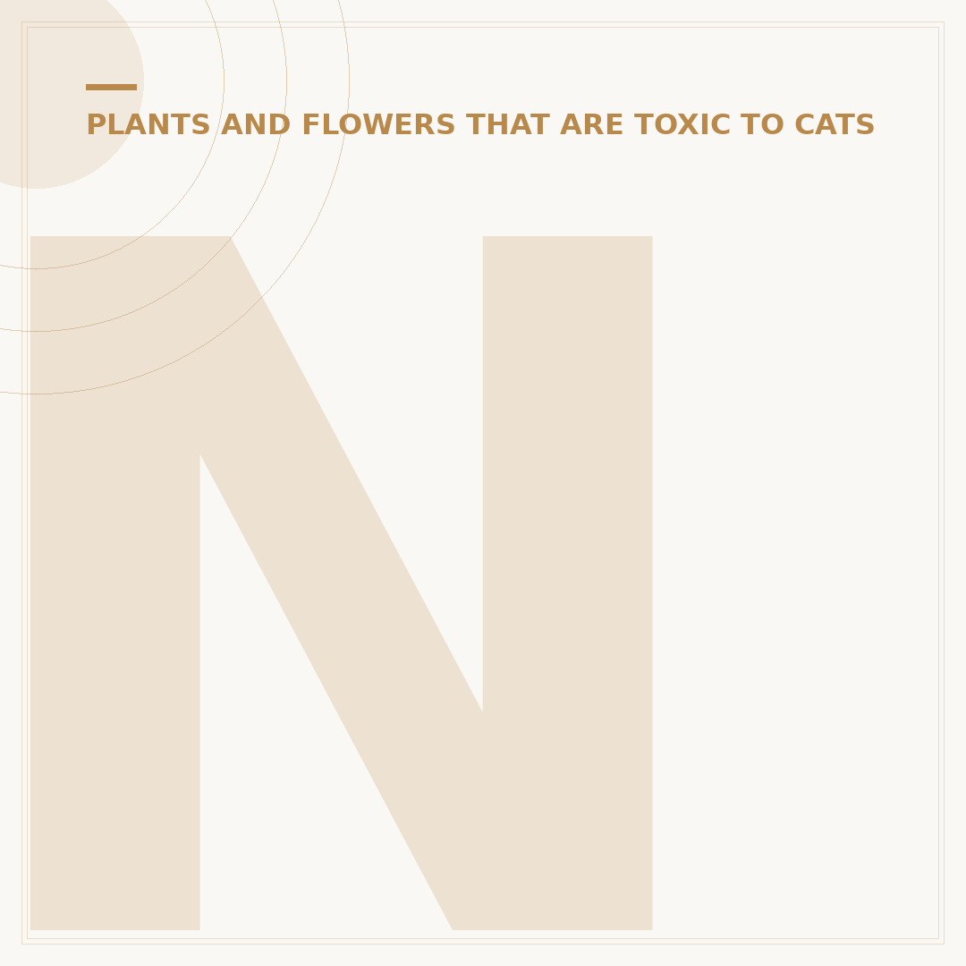 Non-Toxic Indoor House Plants for Cats