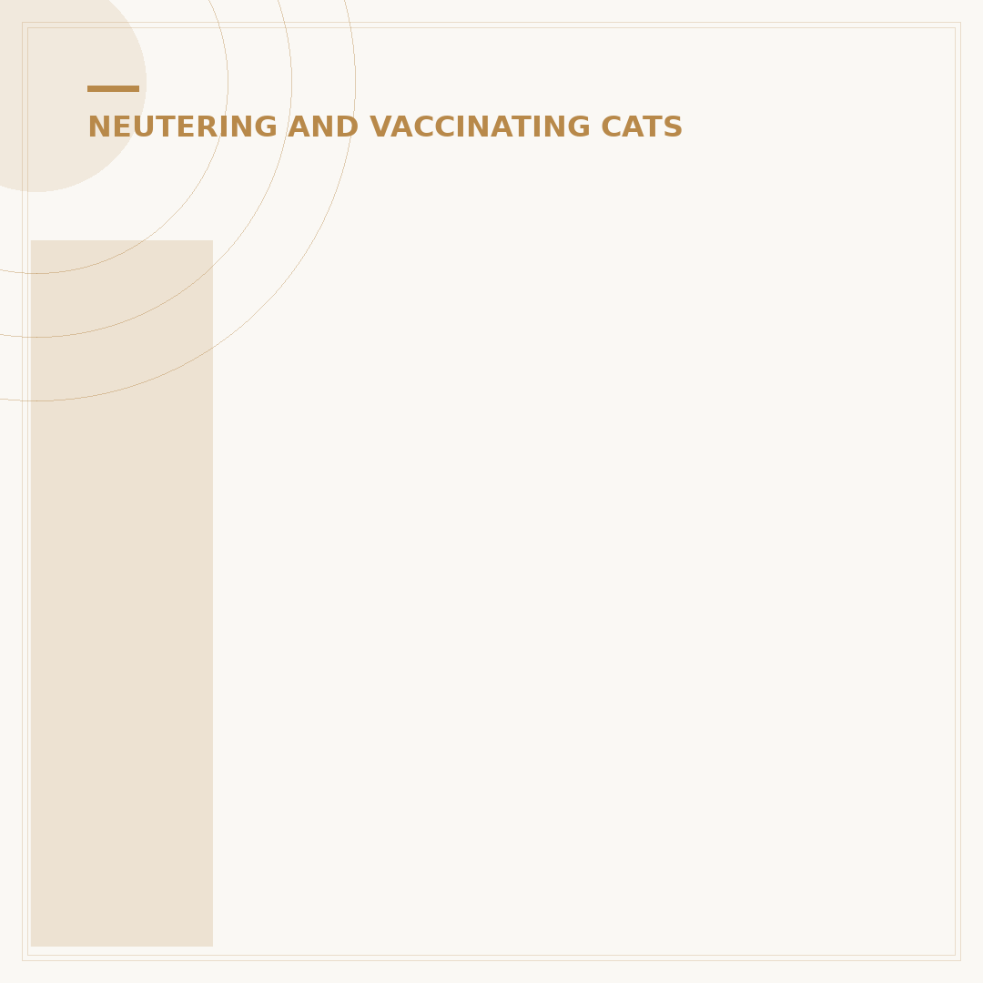 Inexpensive Spay for Cats: Find Affordable Options