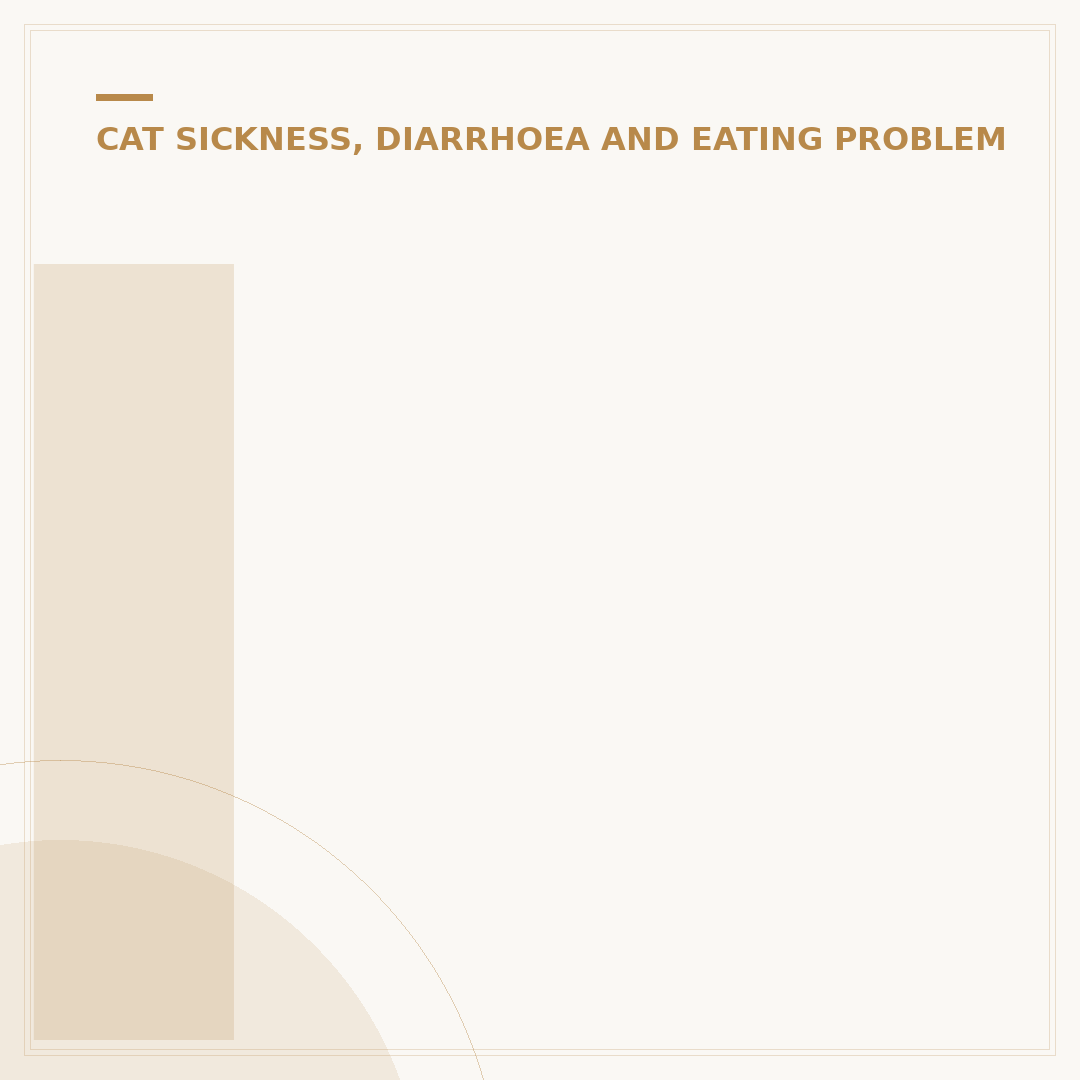 Inflammatory Bowel Disease in Cats: Causes & Signs