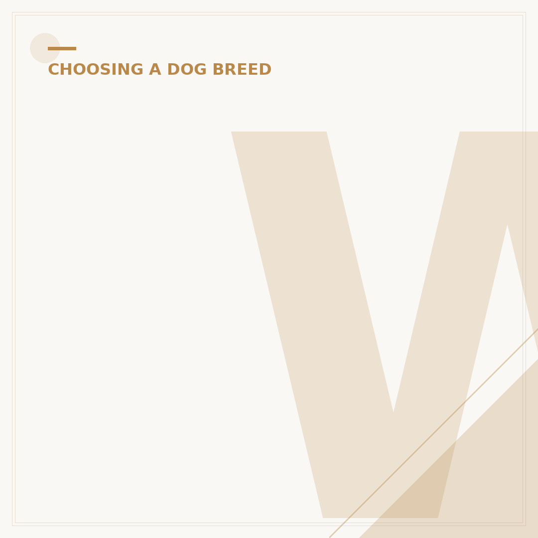 What Are The Most Intelligent Dog Breeds?