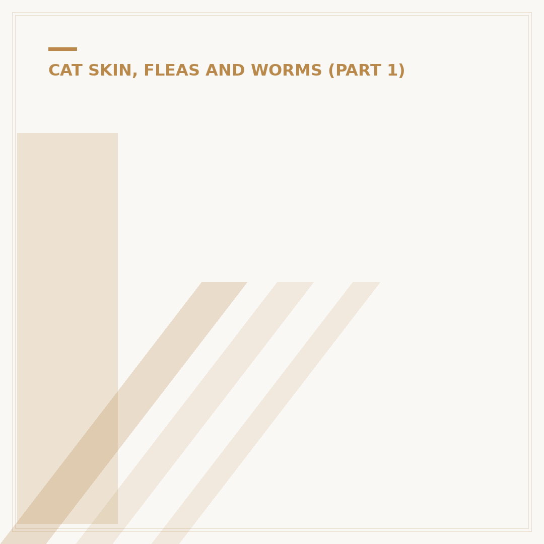 Intestinal Worms in Cats: Signs & Treatment
