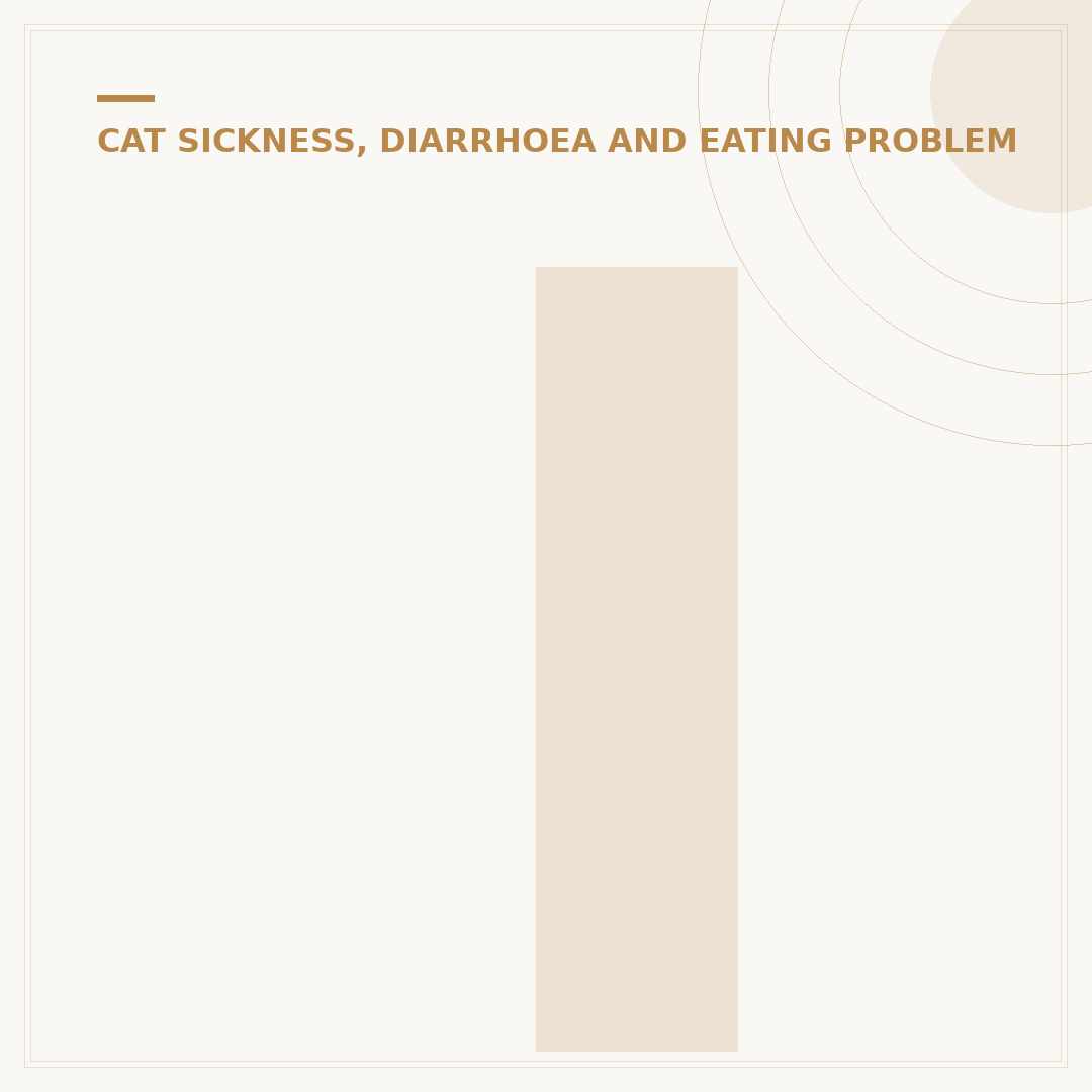 Irritated Bowel Syndrome in Cats: Signs and Management