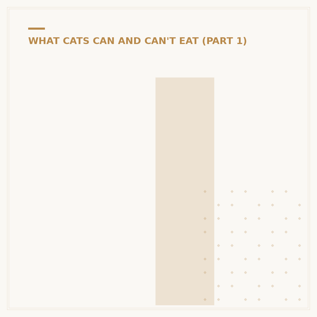 Is Aloe Vera Toxic For Cats? What Pet Owners Need To Know