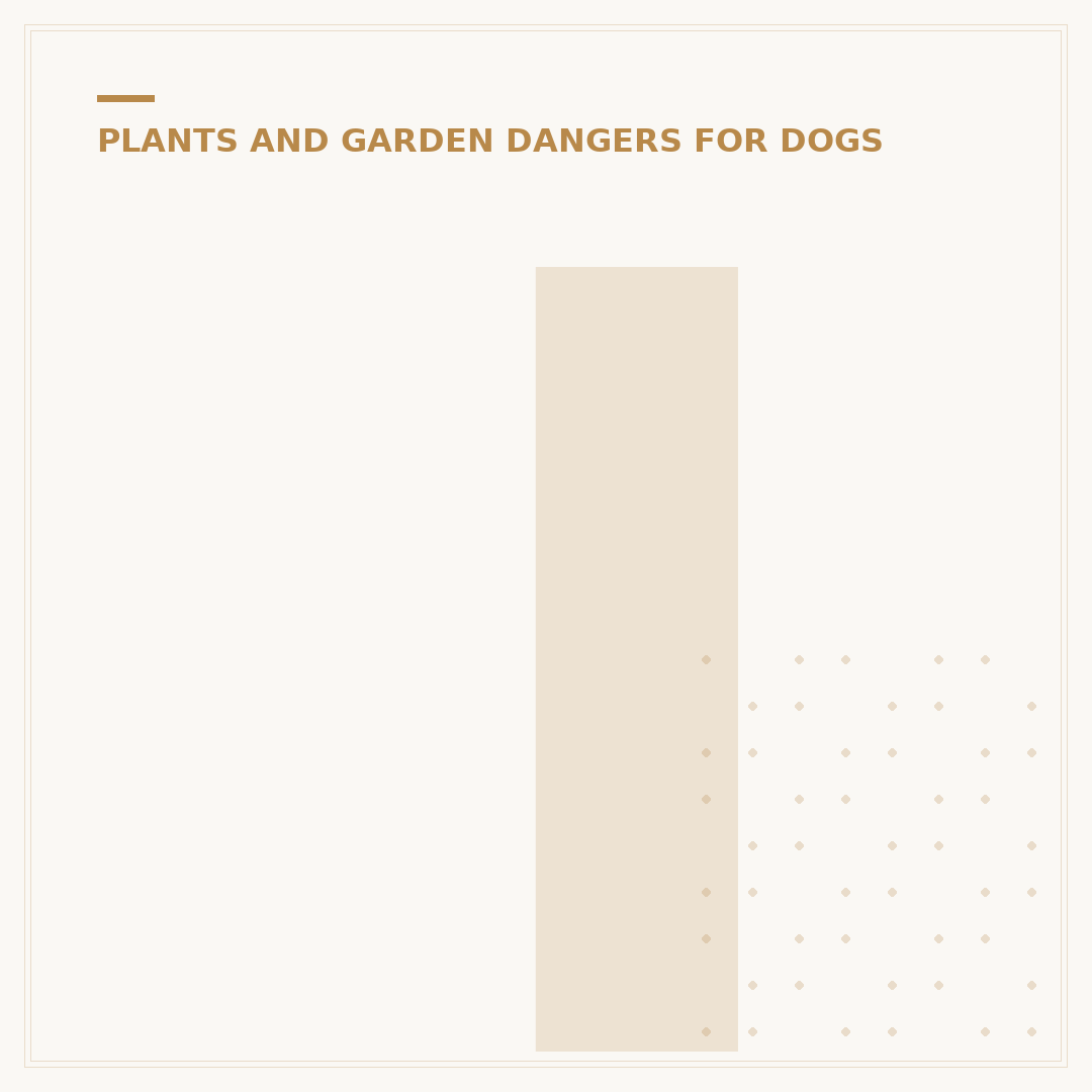 Is Catnip Bad For Puppies? What You Need To Know