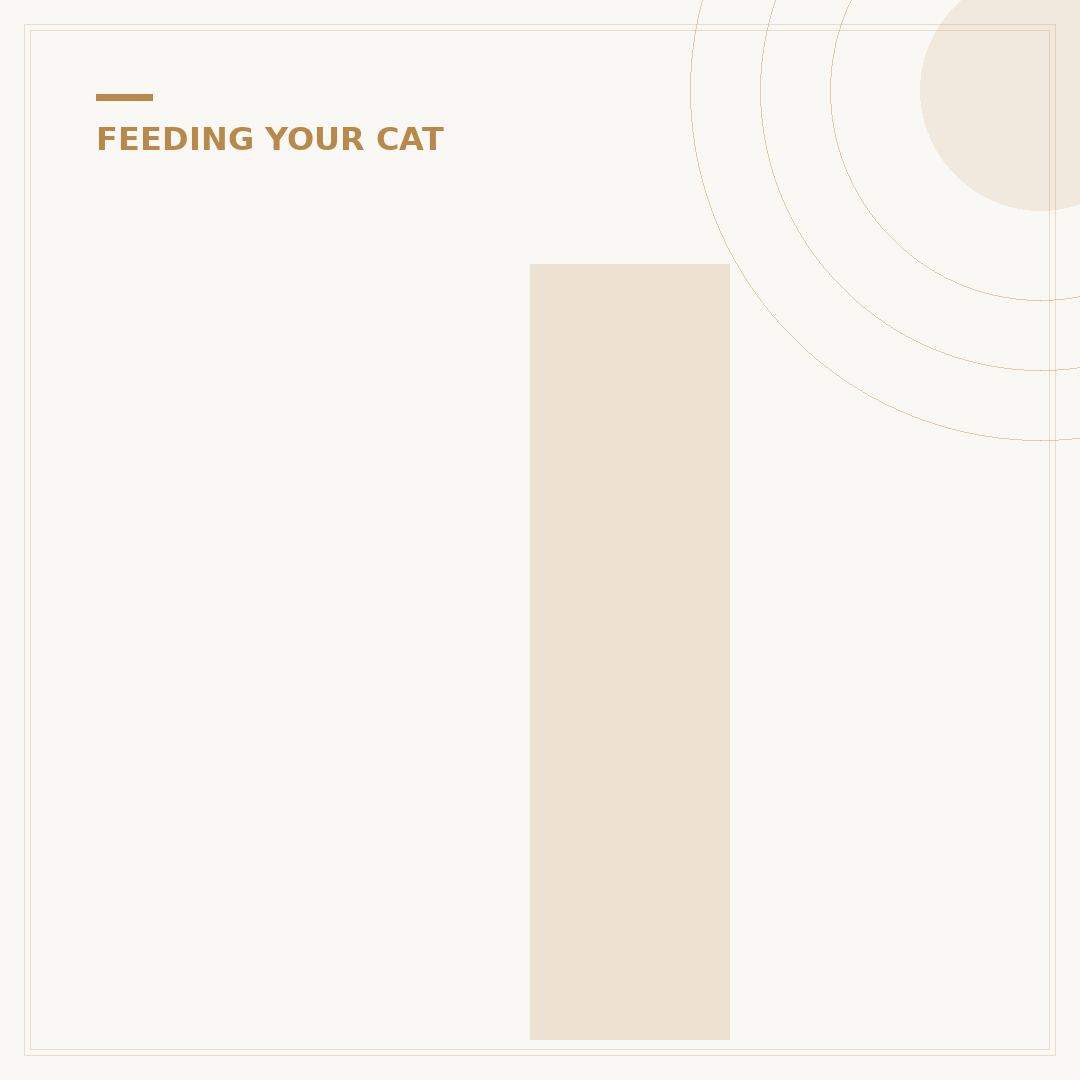 Is Felix Cat Food Good?